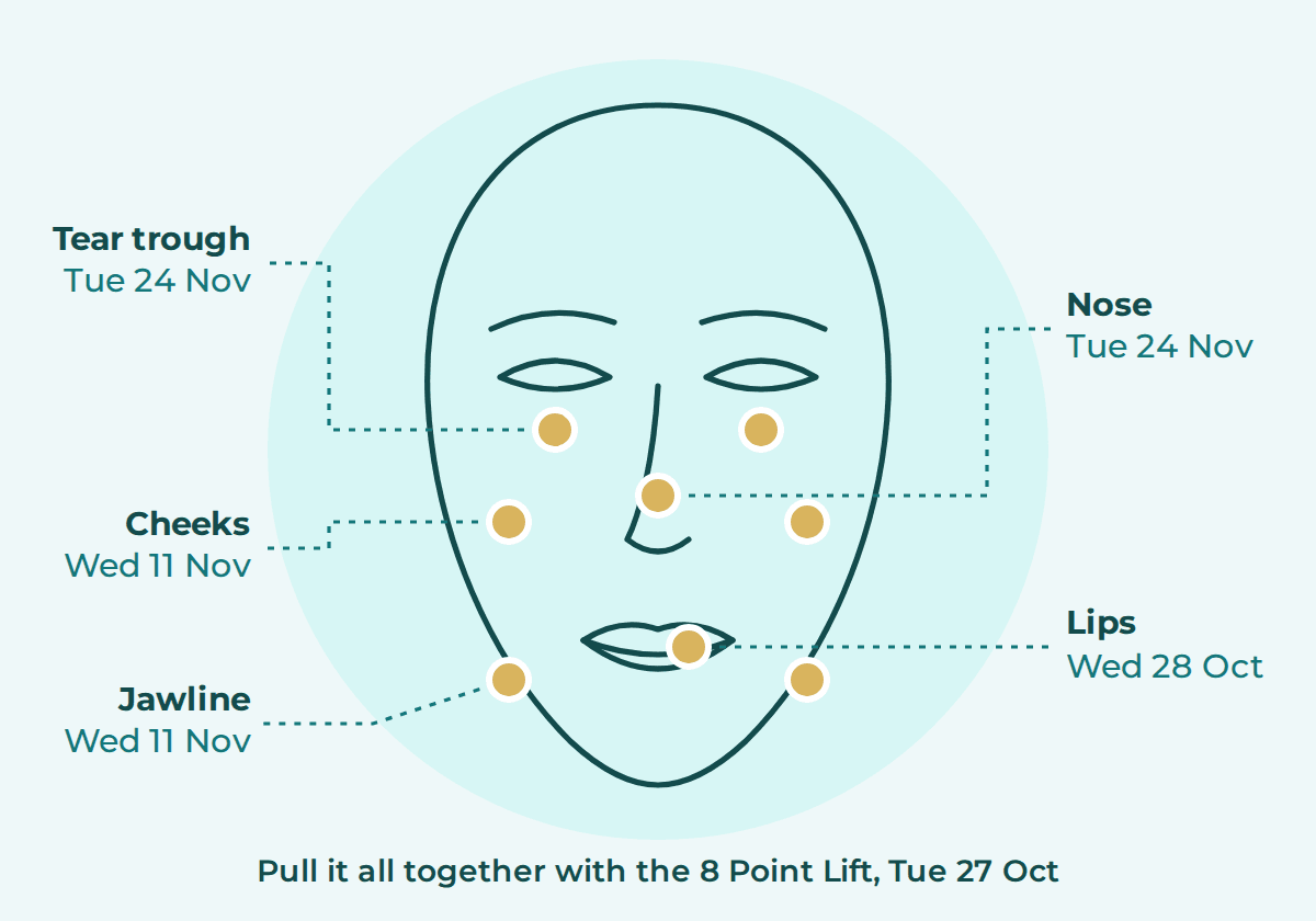 Filler training areas: tear trough, nose, cheeks, jawline, lips and the eight point lift.