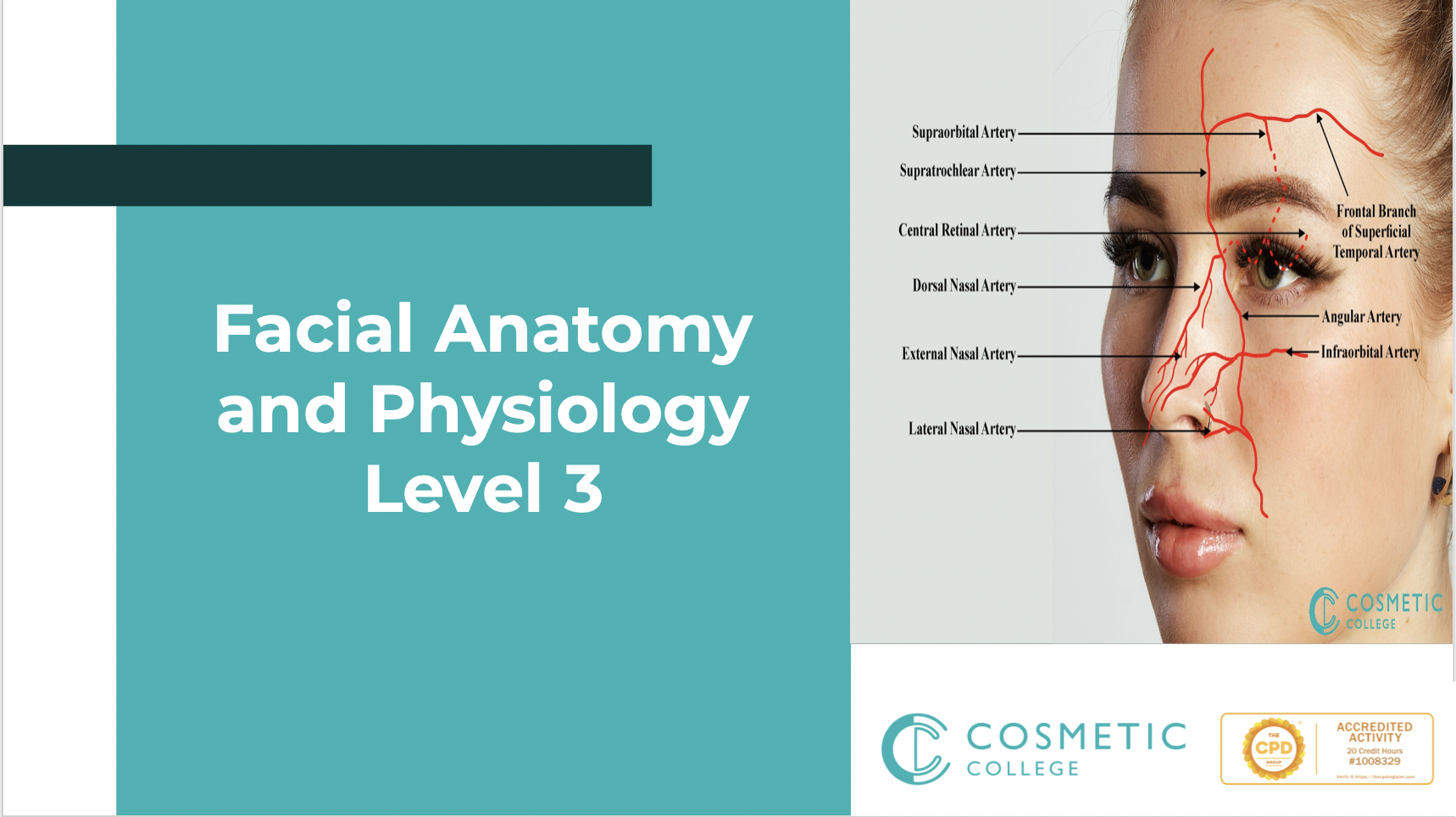 Facial Anatomy and Physiology Level 3 Training Course