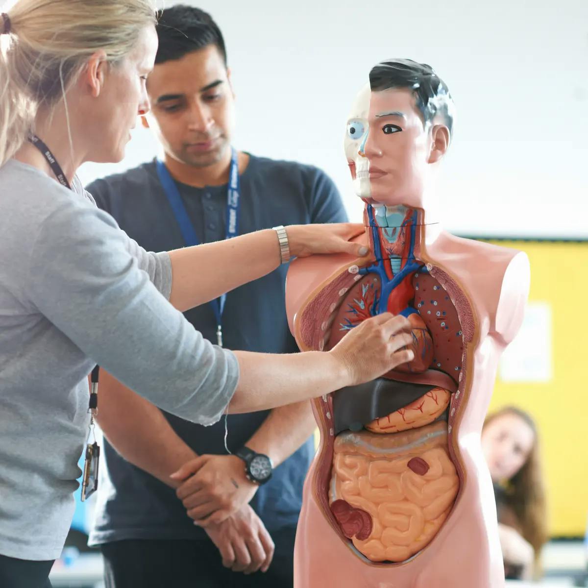 Online VTCT Level 3 Award in Anatomical and Physiological Knowledge of Body Systems